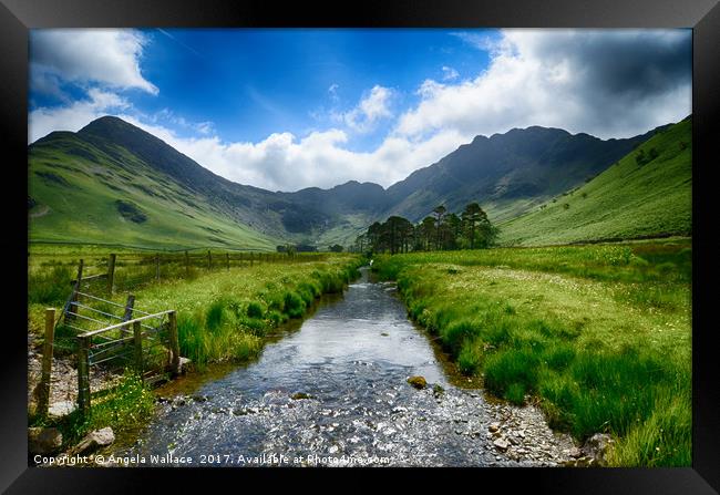 Buttermere Valley           Framed Print by Angela Wallace