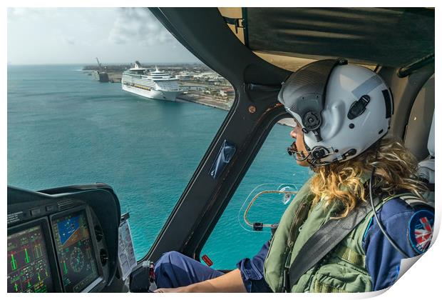 Flying around Aruba Print by Gail Johnson