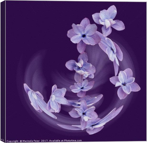 Lilac in circle Canvas Print by Marinela Feier