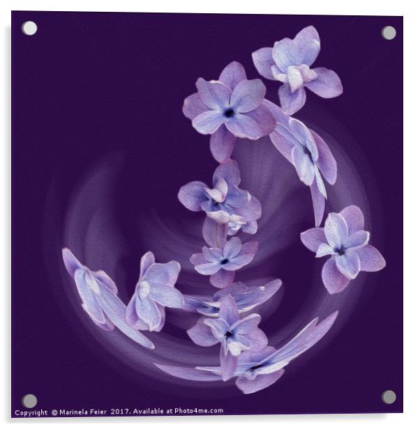 Lilac in circle Acrylic by Marinela Feier