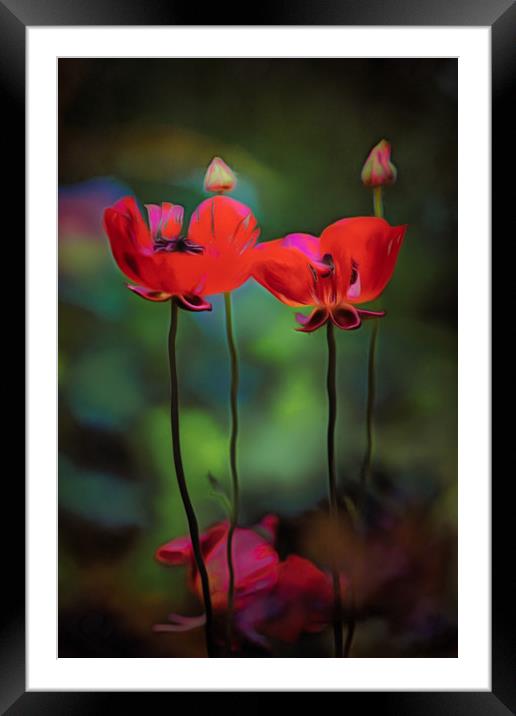 Like anything else, this too shall pass.... Framed Mounted Print by Michael Goyberg