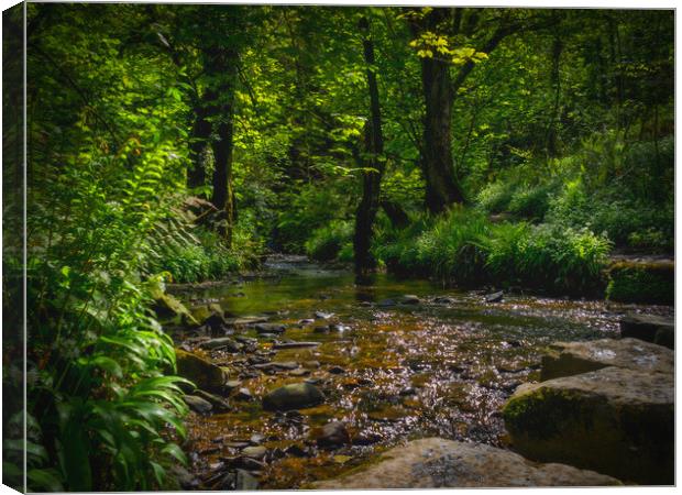 Aberfforest Stream and Glen, Pembrokeshire, Wales, Canvas Print by Mark Llewellyn