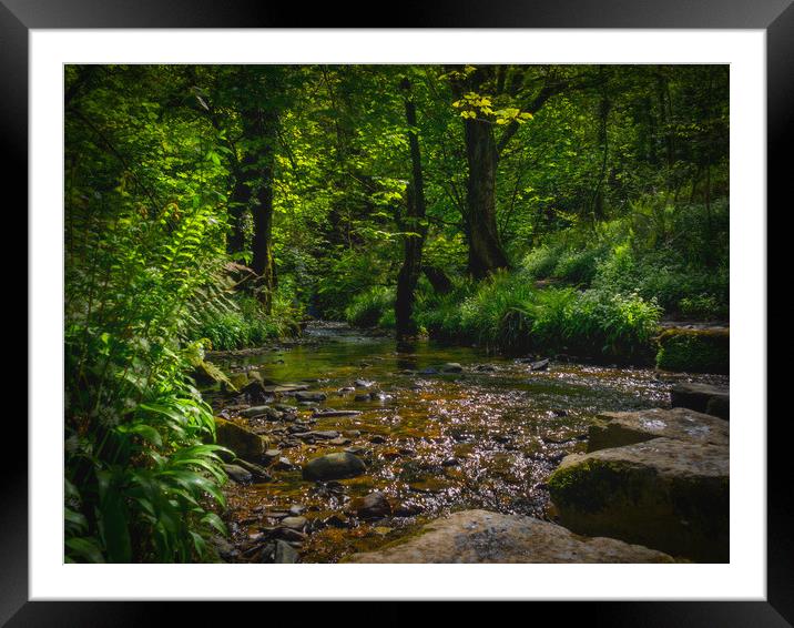 Aberfforest Stream and Glen, Pembrokeshire, Wales, Framed Mounted Print by Mark Llewellyn