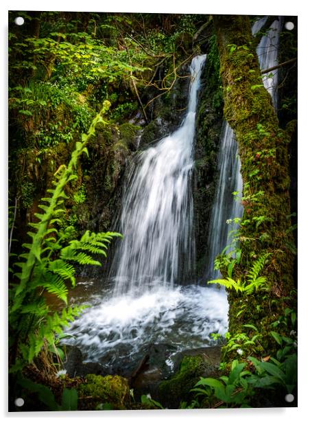 Aberfforest Waterfall, Pembrokeshire, Wales, UK Acrylic by Mark Llewellyn