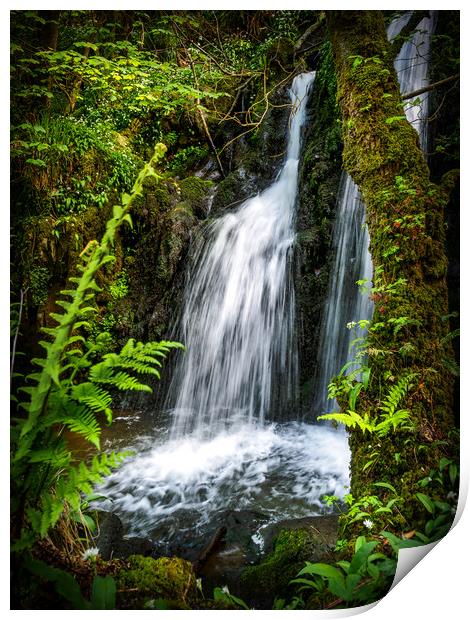 Aberfforest Waterfall, Pembrokeshire, Wales, UK Print by Mark Llewellyn