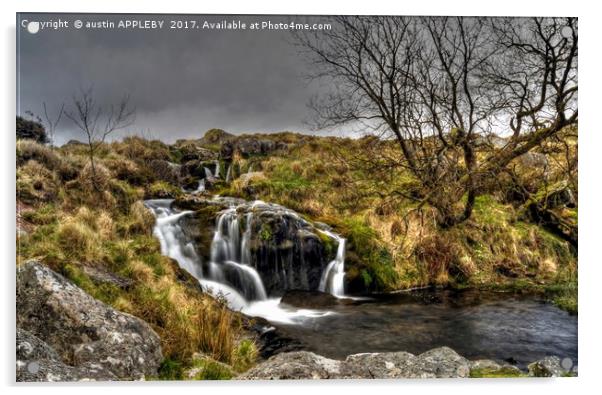 Black Tor Falls Dartmoor  Acrylic by austin APPLEBY