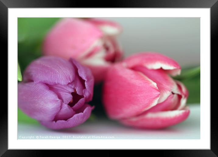 Pretty in Pink & Purple Framed Mounted Print by Sarah George
