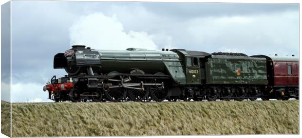 The Flying Scotsman approaching RIbblehead Viaduct Canvas Print by Philip Catleugh