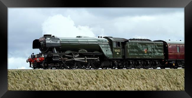 The Flying Scotsman approaching RIbblehead Viaduct Framed Print by Philip Catleugh