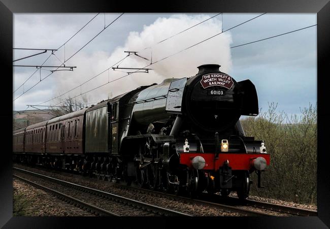The Flying Scotsman approaching Steeton Station in Framed Print by Philip Catleugh