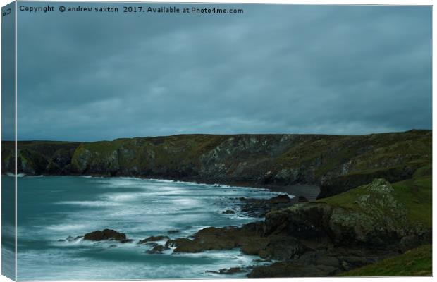 POINT BAY Canvas Print by andrew saxton