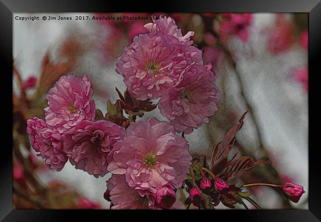 Artistic Cherry Blossom Framed Print by Jim Jones