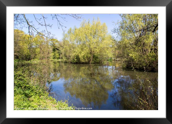 Burton Mere Wetlands Framed Mounted Print by David Chennell