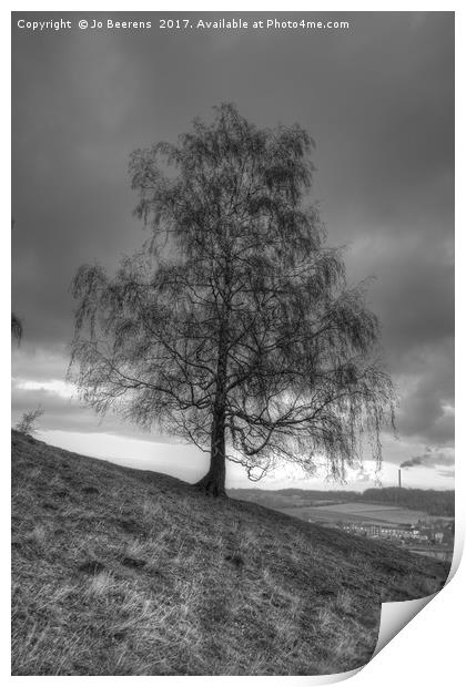 hillside birch tree Print by Jo Beerens