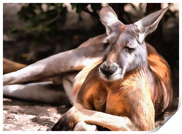 Kangaroo portrait Print by Michael Goyberg