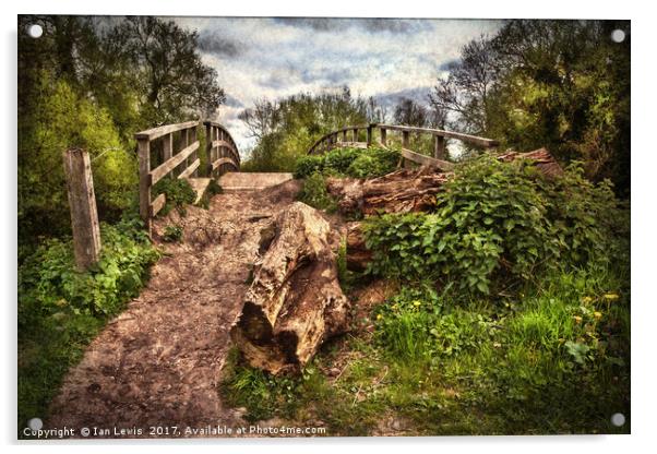 Pathway over Hissey Bridge Acrylic by Ian Lewis