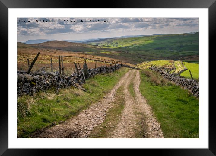 A Dales Lane Framed Mounted Print by Peter Stuart