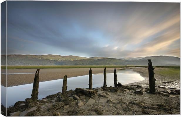 Posts in the mud Canvas Print by Tony Bates