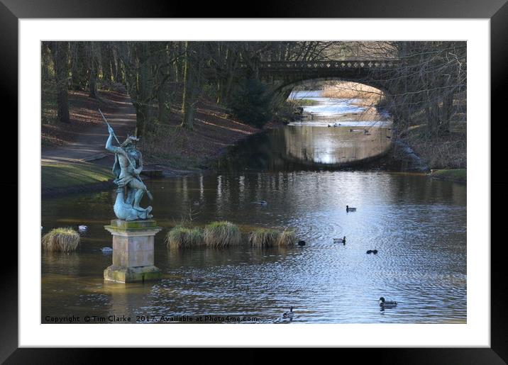 neptune with his trident Framed Mounted Print by Tim Clarke