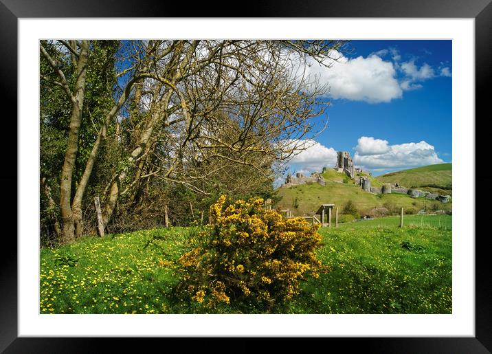 Corfe Castle View                  Framed Mounted Print by Darren Galpin