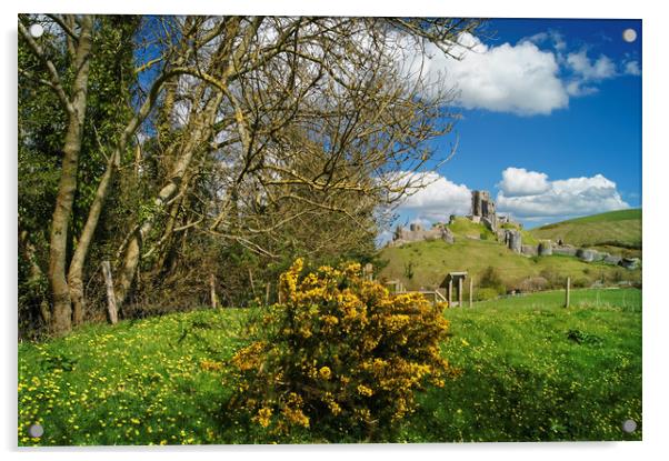 Corfe Castle View                  Acrylic by Darren Galpin