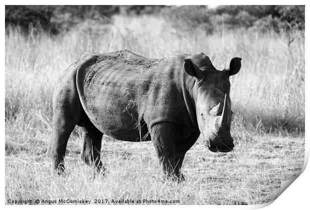 White rhino in bush (mono) Print by Angus McComiskey