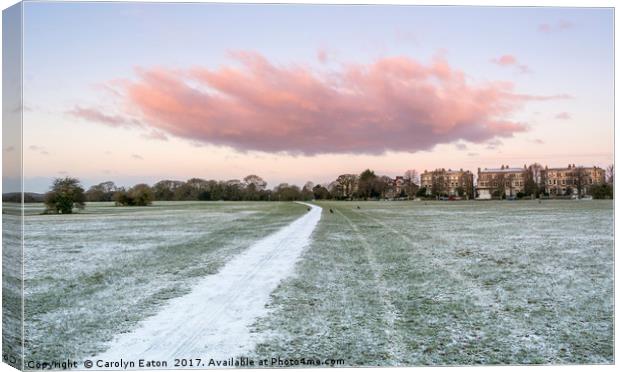 Winter on the Downs, Bristol Canvas Print by Carolyn Eaton