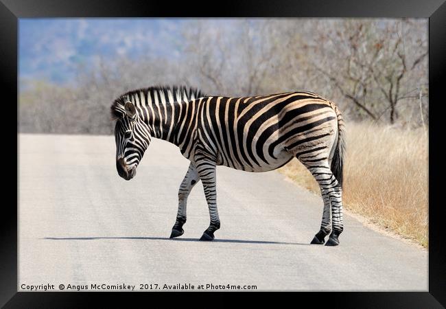 Zebra crossing track Framed Print by Angus McComiskey