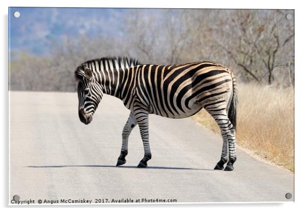 Zebra crossing track Acrylic by Angus McComiskey