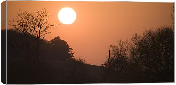Sunset over hampshire cornfield, England Canvas Print by Ian Middleton