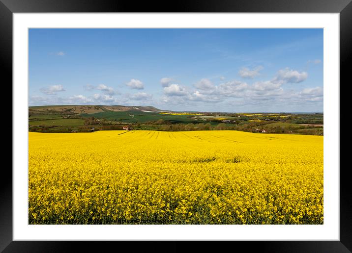 Springtime in East Sussex Framed Mounted Print by Ed Brown