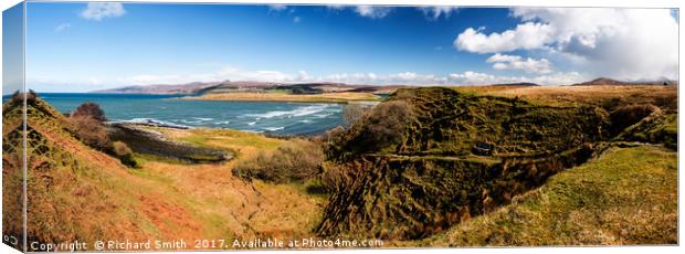 The footpath down to Braes beach Canvas Print by Richard Smith