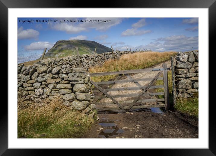 Pen-Y-Ghent from near Helwith Bridge Framed Mounted Print by Peter Stuart