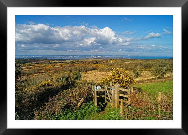 View across Studland and Godlington Heath          Framed Mounted Print by Darren Galpin