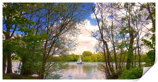 Small sailing boat on the lake between some tree's Print by Sue Bottomley