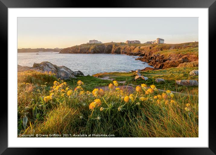 View of Newquay from Towan Headland Framed Mounted Print by Diane Griffiths