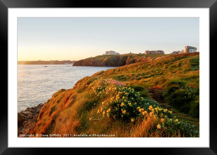 View of Newquay from Towan Headland Framed Mounted Print by Diane Griffiths
