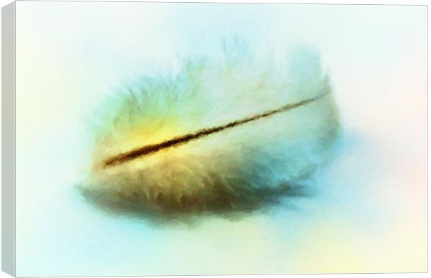 Angel feather  Canvas Print by Dagmar Giers