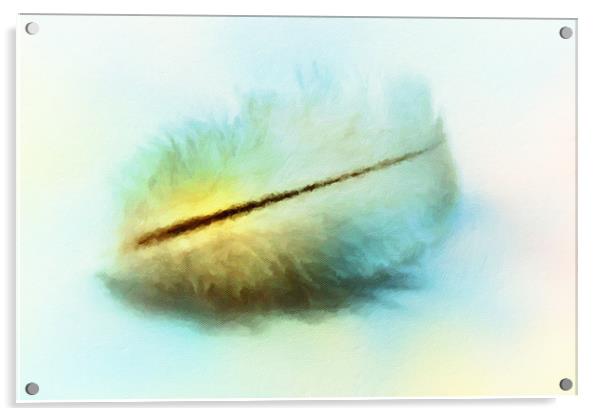 Angel feather  Acrylic by Dagmar Giers