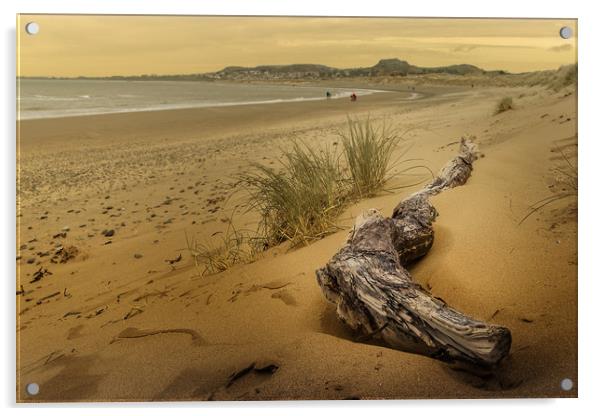 Morfa Conwy Beach Acrylic by Sean Wareing