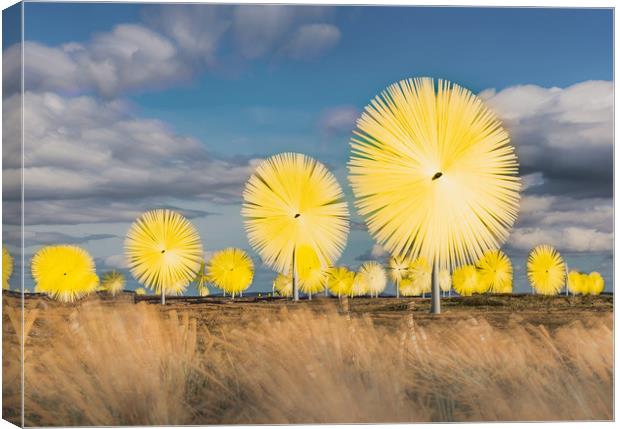 Artificial Dandelions Canvas Print by Gareth Burge Photography