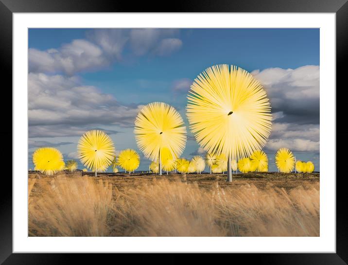 Artificial Dandelions Framed Mounted Print by Gareth Burge Photography