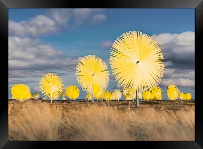 Artificial Dandelions Framed Print by Gareth Burge Photography
