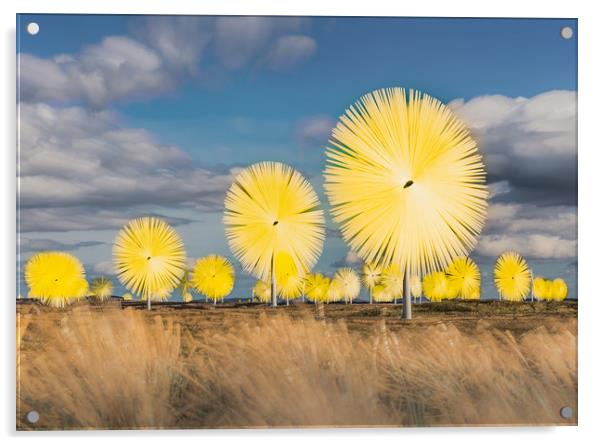 Artificial Dandelions Acrylic by Gareth Burge Photography