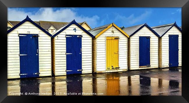 Changing Huts Framed Print by Anthony Hedger