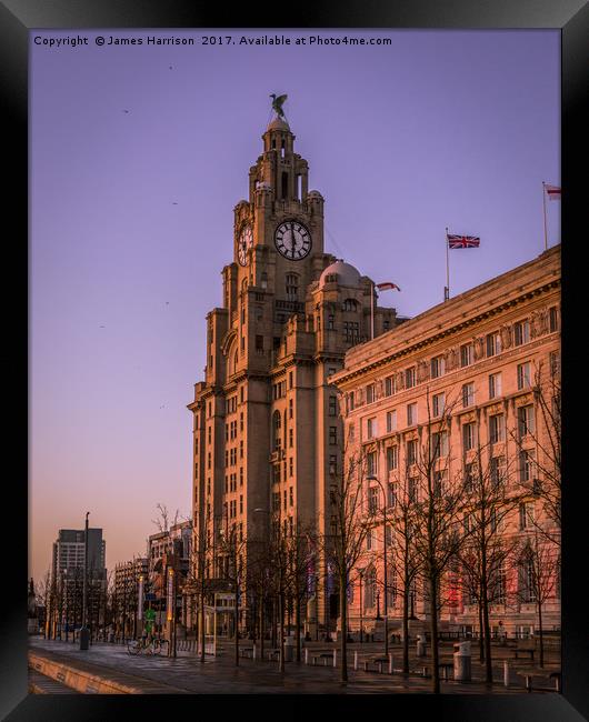 The Liver Building - Purple Skies Framed Print by James Harrison