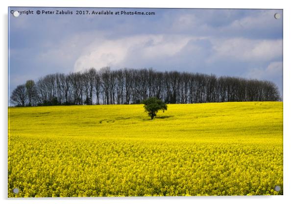 Field of Yellow Acrylic by Peter Zabulis