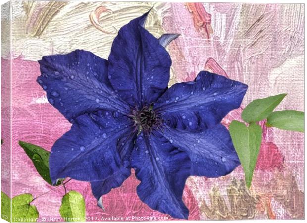 First Clematis Canvas Print by Henry Horton