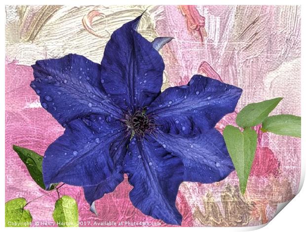 First Clematis Print by Henry Horton
