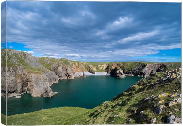 Bullslaughter Bay, Stack Rocks, Pembrokeshire. Canvas Print by Colin Allen